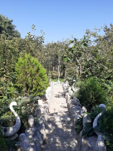 a path in a garden with white swans on it at Hostel Martvili Tasia in Martvili
