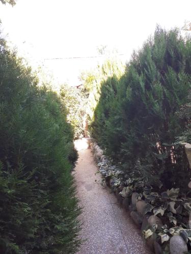 a garden path with bushes and rocks at Hostel Martvili Tasia in Martvili