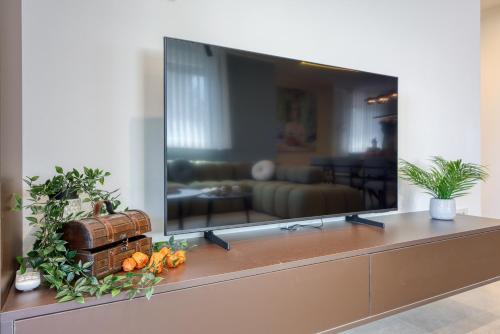 Apartment Elisadora II