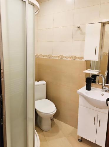 a bathroom with a toilet and a sink at Къща за гости Вила Чифлици in Chiflik