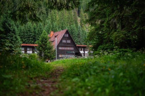 Horská chata Primula - 1000 m nad morom