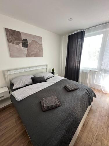 Apartmánový byt Bakossova