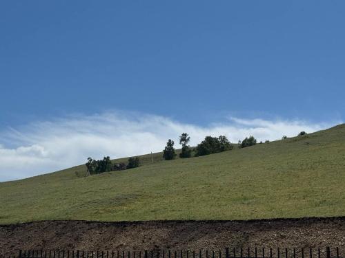 a green hill with trees on top of it at Cozy year-round cottage near UB with additional pick-up service from the Airport in Dzuunmod