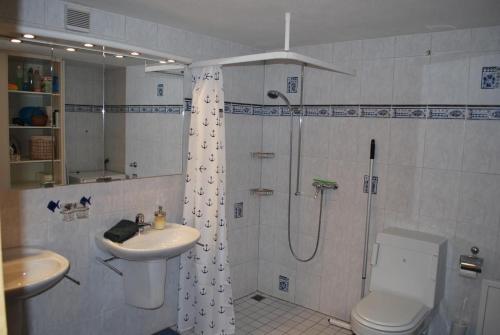 a bathroom with a shower and a sink and a toilet at Blick Auf Herrliche Bergwelt in Schmitten