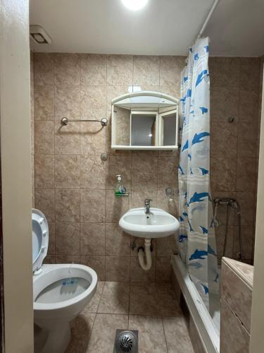a bathroom with a sink and a toilet and a mirror at Privatan smeštaj Plava kuća in Mataruška Banja
