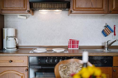 a kitchen counter with a stove and a sink at Gästehaus Weingut Mangel in Endingen