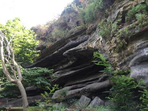 a rocky hill with trees and plants on it at Casa Schicciola in Stromboli