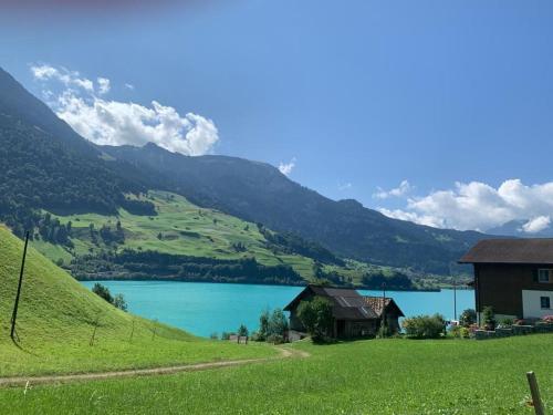 a house on a hill next to a lake at Gartenwohnung Bemer Rempfler Erholung Pur in Lungern