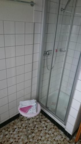 a bathroom with a shower and a pink stool at Obererli in Hasliberg