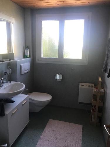 a bathroom with a toilet and a sink and two windows at Soldanella in Appenzell