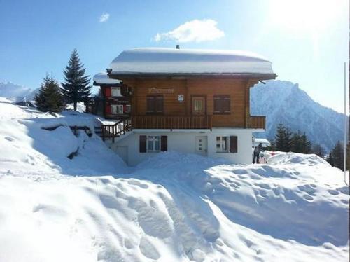 a building covered in snow in front at Adlerhorst in Rosswald