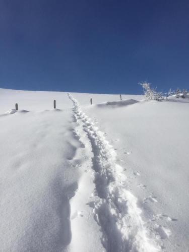 a snow covered road with footprints in the snow at Im Toggi in Wattwil