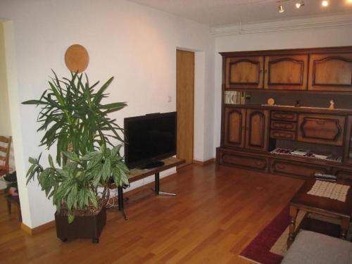a living room with a tv and a potted plant at Ferienwohnung Dent Blanche in Savièse