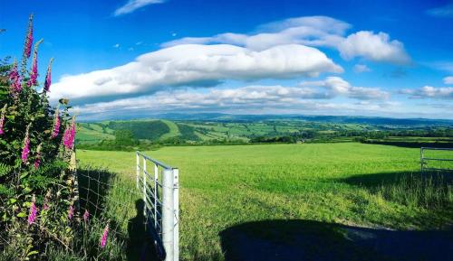 a field of green grass with a fence and flowers at Pass the Keys Y Bwythn Welsh Countryside Retreat UK Getaway in Carmarthen