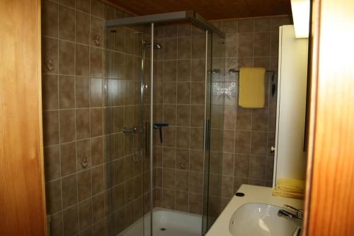 a bathroom with a shower and a toilet and a sink at Fewo Mit Herz in Horboden