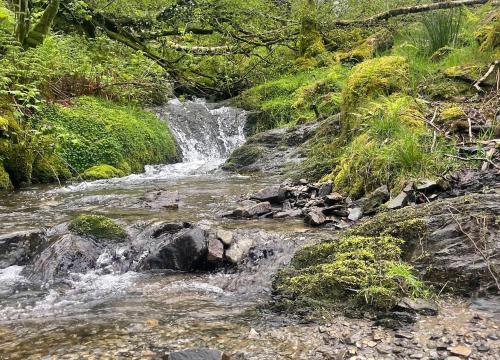a stream with a waterfall in a forest at Pass the Keys Y Bwythn Welsh Countryside Retreat UK Getaway in Carmarthen