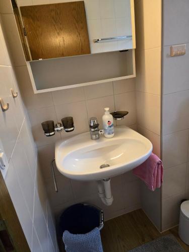 a bathroom with a white sink and a mirror at Haus Ahorni in Beatenberg