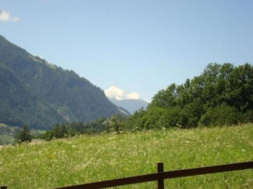 a fence in a field with mountains in the background at Chalet Bärli in Fiesch
