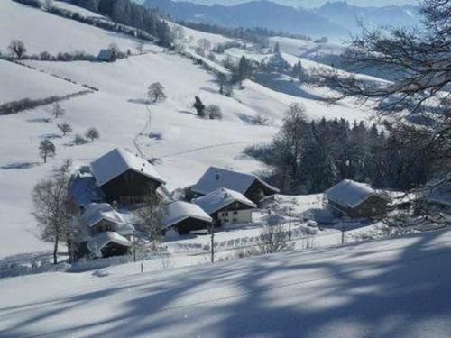 a snow covered house on a snow covered hill at Ferienwohnung, Ferienhof Wald in Goldingen