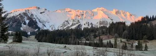 a snow covered mountain with trees in front of it at Rothorn Center A 1Og Schöpfer in Sörenberg