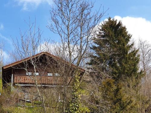 ein Haus inmitten eines Waldes mit einem Baum in der Unterkunft Chalet Traumfleck in Necker