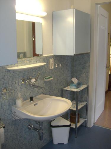 a bathroom with a sink and a mirror at Casa Reduit Terrazza in Orselina
