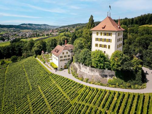 an aerial view of a castle in a vineyard at Schloss Heidegg in Gelfingen