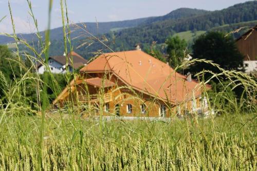 a large wooden house in a field of grass at Ferme D Alma in Ocourt