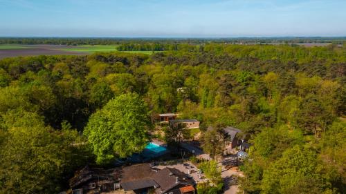 an aerial view of a house in the woods at Vakantiepark De Wiltzangh in Ruinen