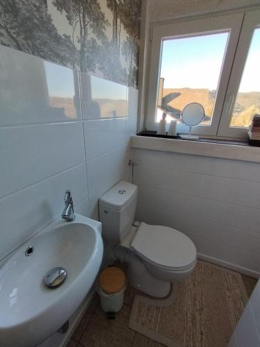 a bathroom with a toilet and a sink and a window at Ferienwohnung Moselherz in Reil