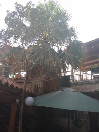 a palm tree in front of a building with a roof at Tryfonapartment school1922 in Krousón