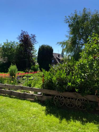 a garden with a wooden fence and some plants at Haus Jurisch in Urberg