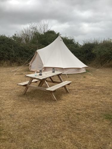 a picnic table with a large tent in a field at Willowbank farm rare breeds rescue in Dorchester