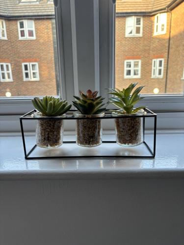 two potted plants sitting on a window sill at 1 bed flat sleeps 4 close to Wembley Stadium in Harrow Weald