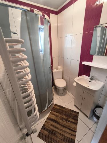 a bathroom with a shower and a toilet and a sink at Wynajem Pokoi Maria Sowińska in Biały Dunajec