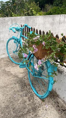 a blue bike with a planter with flowers on it at DEl Rey Guest House in Tomar