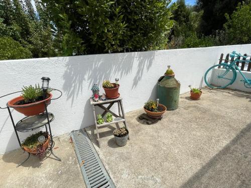 a group of potted plants sitting next to a wall at DEl Rey Guest House in Tomar