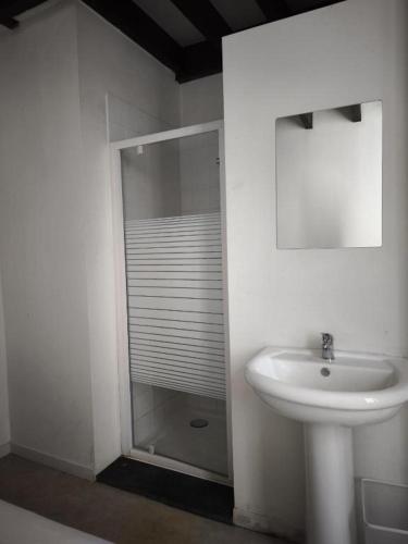 a white bathroom with a sink and a mirror at Dolfijn Hostel in Antwerp