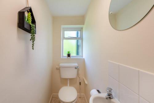 Un baño blanco con inodoro y ventana. en Buckinghams Leary, en West Buckland