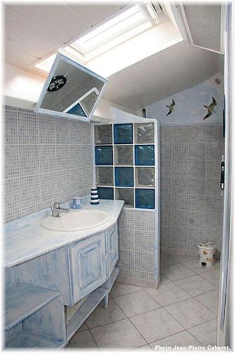 a bathroom with a sink and a shower with birds on the ceiling at Chambre d'hote Jasse Perdrix in Thairé