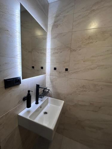 a bathroom with a white sink and a mirror at Párty penzion Dolany in Čkyně