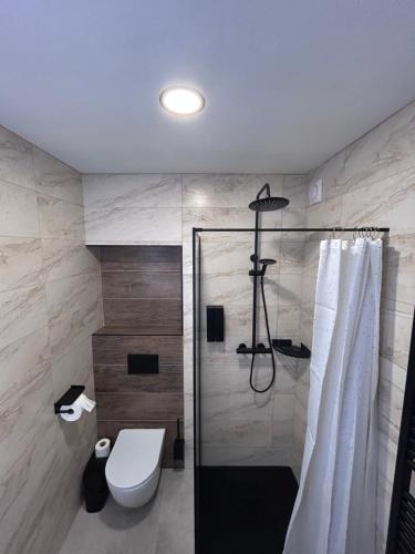 a bathroom with a shower with a toilet and a sink at Párty penzion Dolany in Čkyně