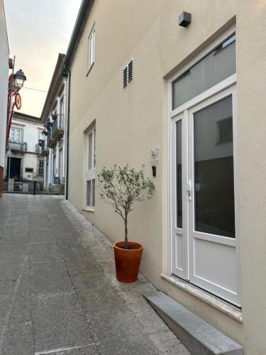 una planta en una olla sentada al lado de un edificio en Apartamento do Ferreiro, en Ponte da Barca
