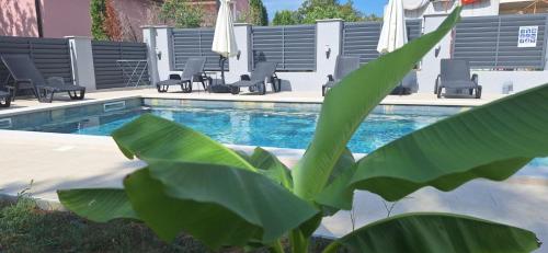 Apartmani Stefano