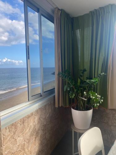 Seaside accommodation in Playa del Aguila