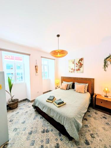 'Gato', Charming Portuguese Style Apartment for Rent, 'Vida a Portuguesa'