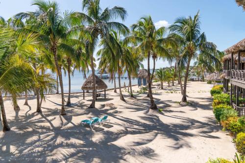 a beach with palm trees and chairs and the ocean at Villas De Isla Bonita in San Pedro