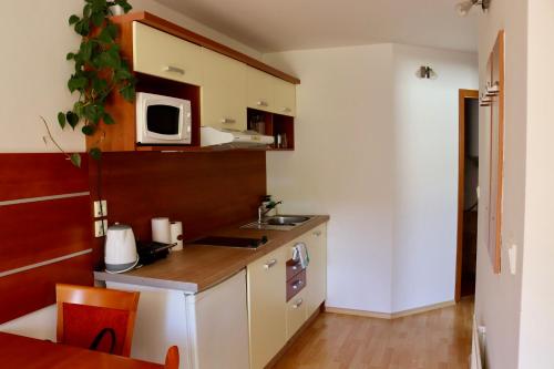 Kuchyň nebo kuchyňský kout v ubytování Apartmán Kama
