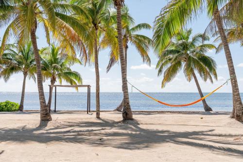 a hammock hanging between palm trees on a beach at Villas De Isla Bonita in San Pedro