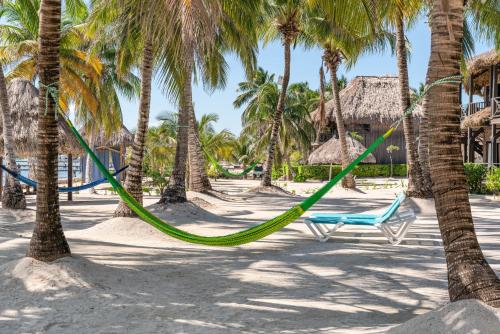 a hammock hanging between palm trees on a beach at Villas De Isla Bonita in San Pedro